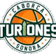 图里奥内斯logo
